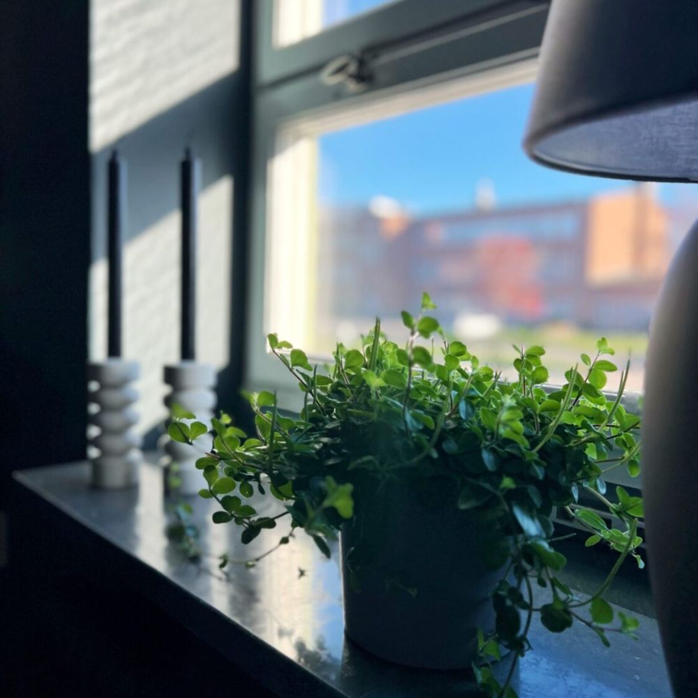 Inredare för företag Nord Design Studio